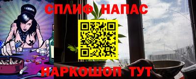 apvp Камышлов