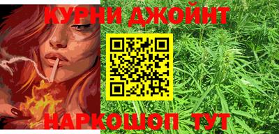 apvp Камышлов